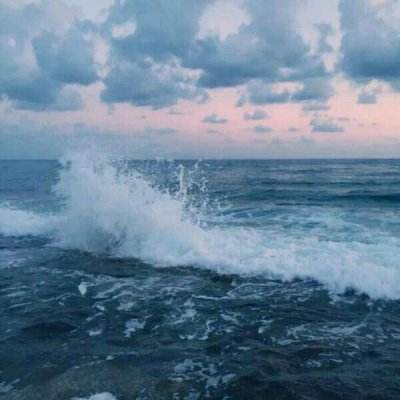 疯狂的声音手机版下载
