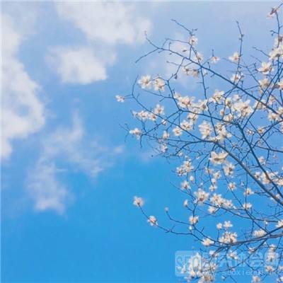 雄霸天下手游果盘版下载